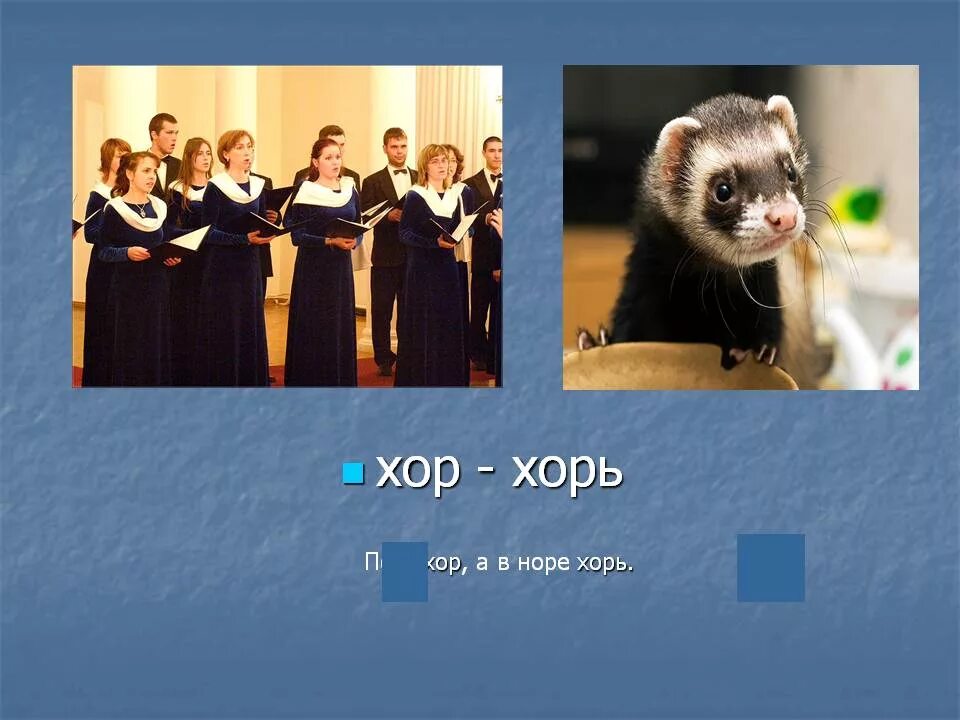 Хори значение. Хори значение