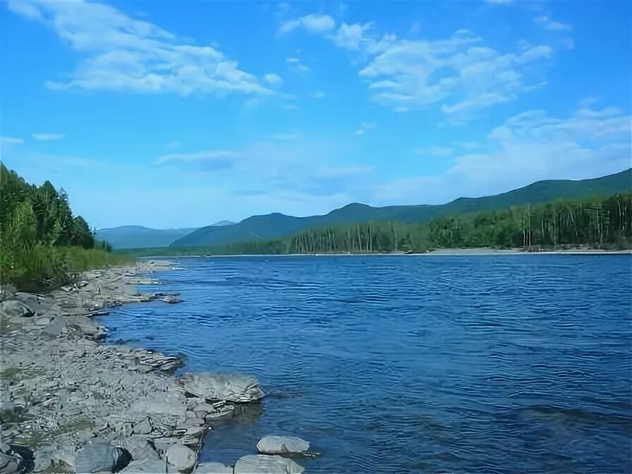 Река селемджа амурская
