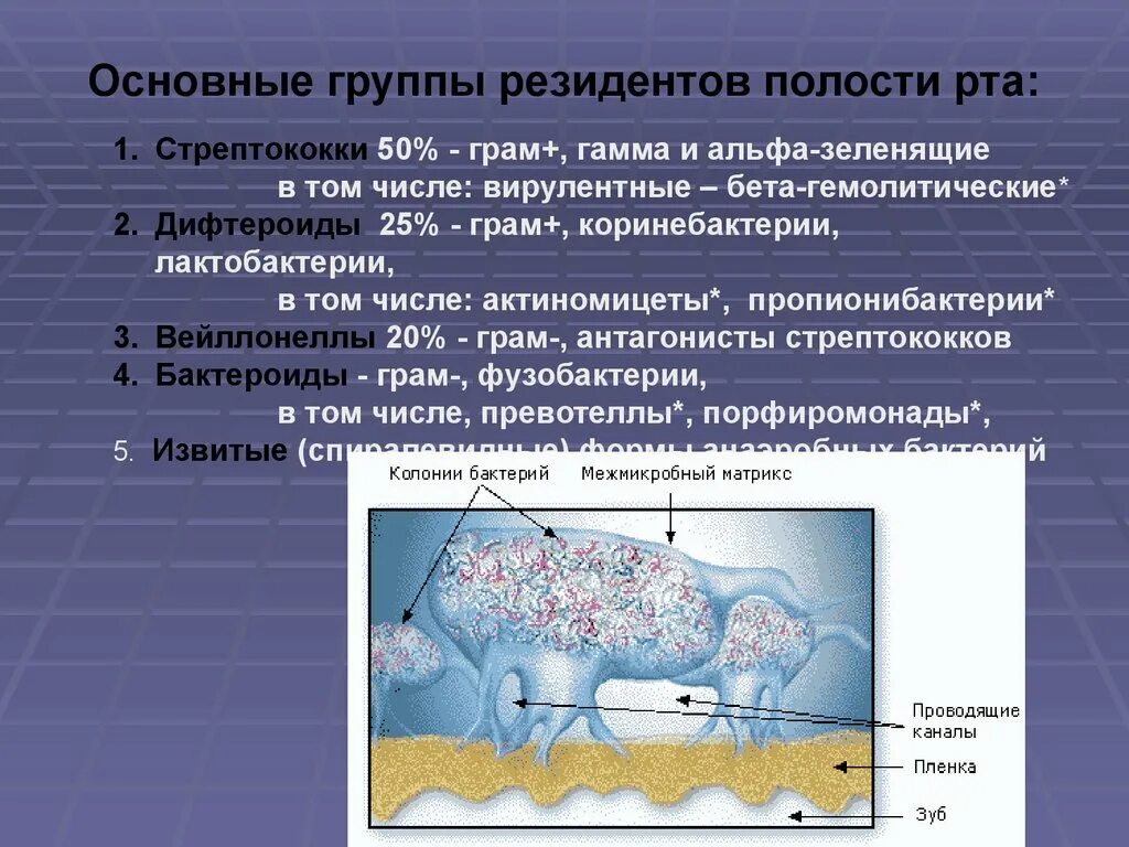 Микроорганизмы полости рта. Основные резиденты полости рта. Основные резиденты полости рта таблица. Микробиология ротовой полости.