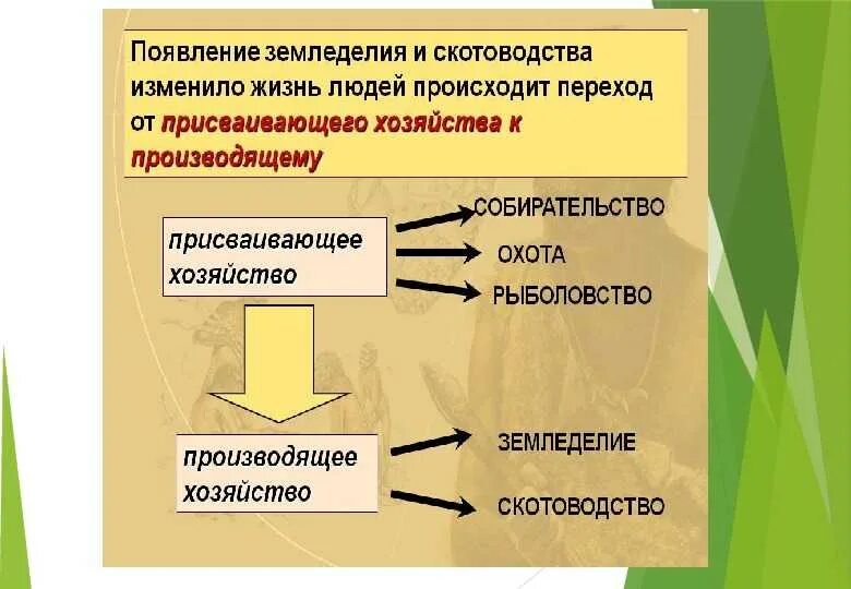 Как земледелие и скотоводство изменило жизнь людей