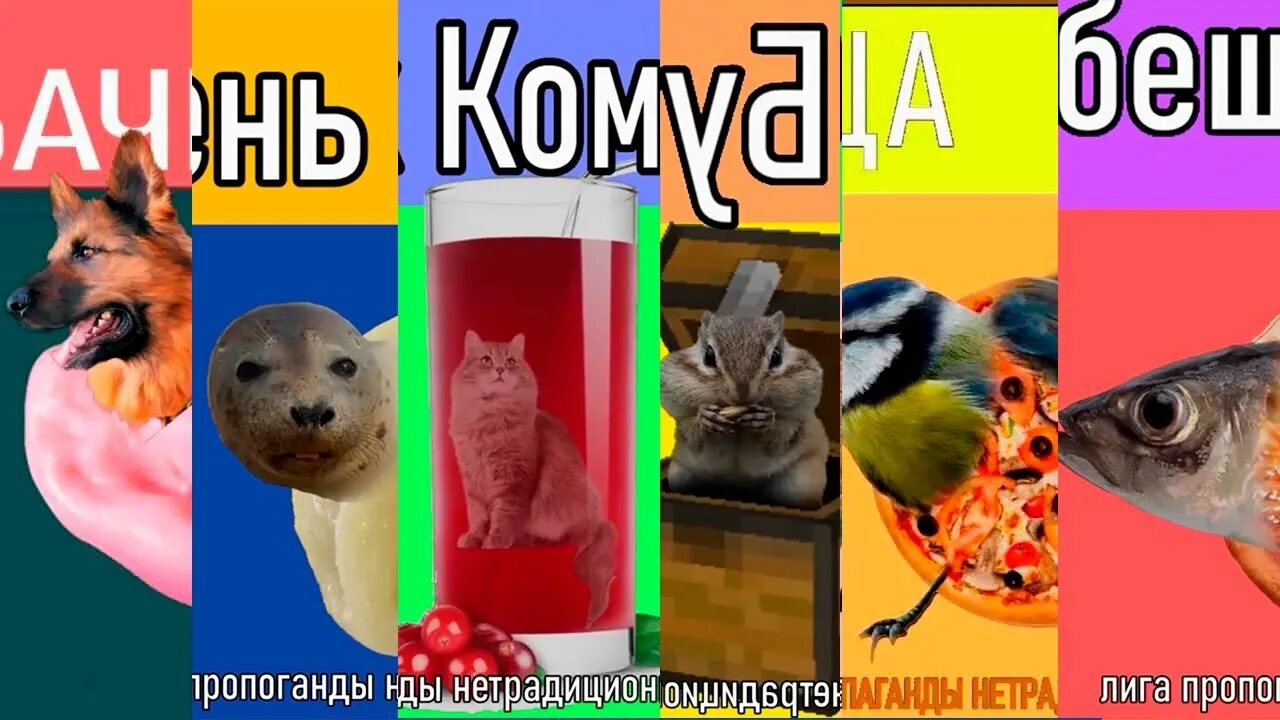 Включи кошка жвачка. Мышка сосиска собачка жвачка. Мышка сосиска собачка жвачка кошка картошка кот-бутерброд. Собачка жвачка. Мемы мышка сосиски, собачка жвачка кошка картошка.