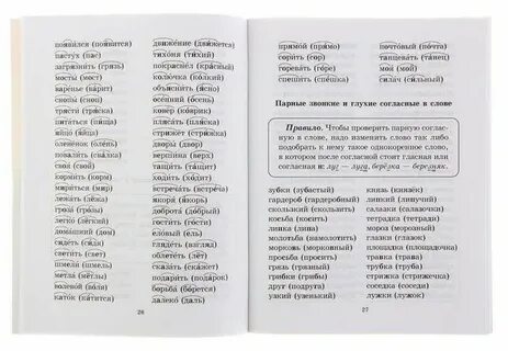 Диктант без проводника 8 класс