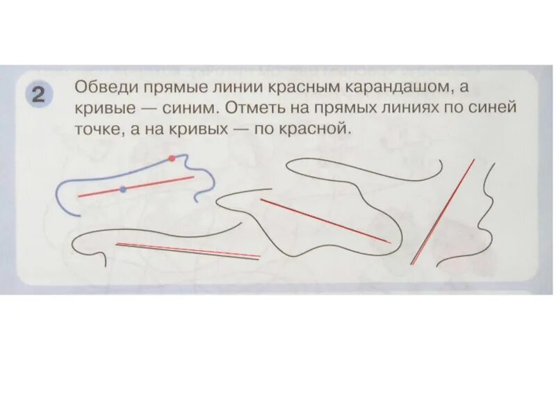Проведи на рисунке выше прямую линию