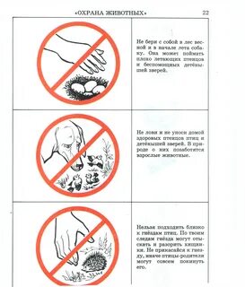 Почему нельзя ловить
