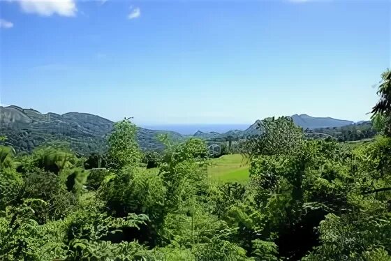 жестколиственные леса австралии. жнстколистные лема австралии. жестколистные вечнозеленые леса и кустарники южной америки. жестколистные леса южной америки. жестколистные вечнозеленые леса и кустарники южной америки.