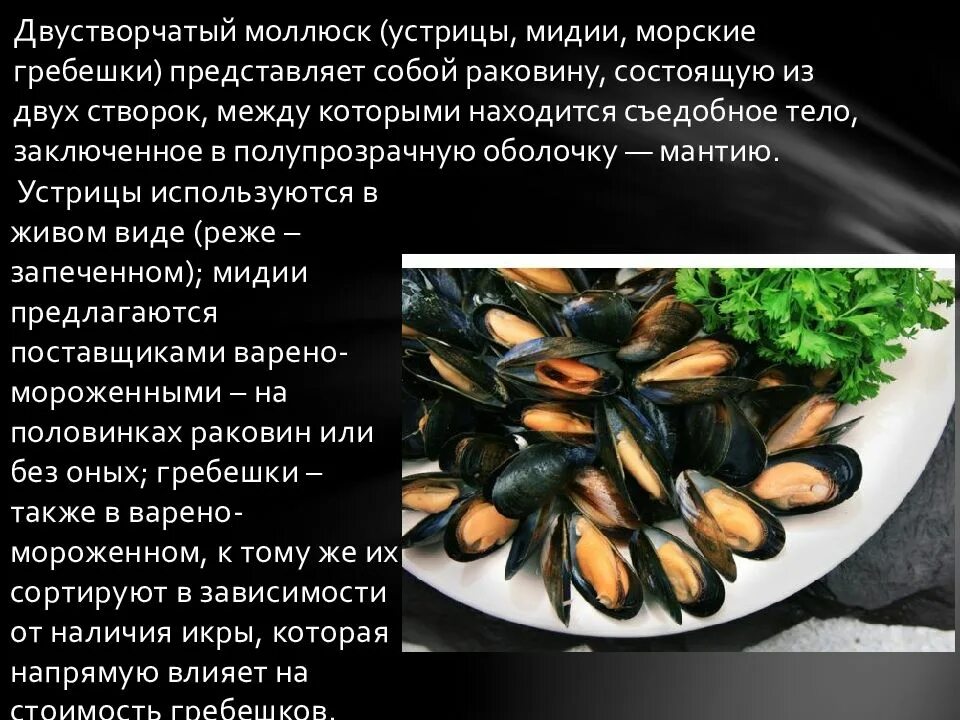 Мидии польза для мужчин. Двустворчатые моллюски мидии. презентация на тему мидий. мидии сообщение по биологии. классификация мидии.