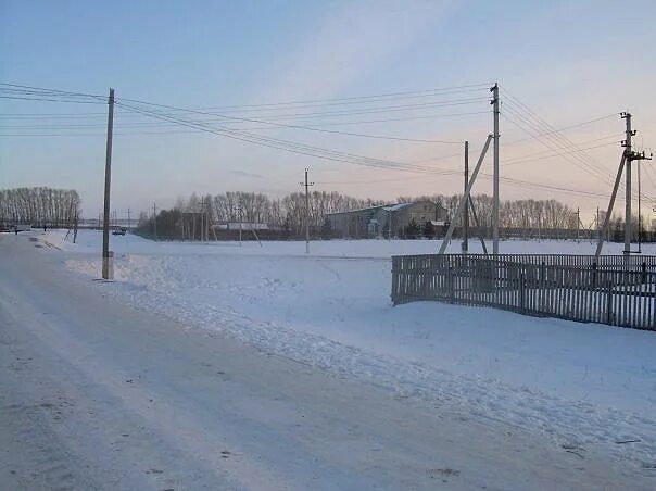 Погода тарказы за неделю. Погода тарказы за неделю. Погода тарказы за неделю. Новошахово. Погода тарказы за неделю.