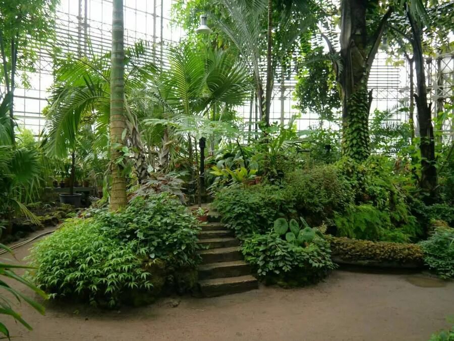 Ботанический сад спб время. Оранжерея петра великого в санкт петербурге. Ботанический сад петра великого в санкт-петербурге. Ботанический сад петра великого в санкт-петербурге. Ботанический сад спб время.