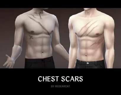 Scars i am they