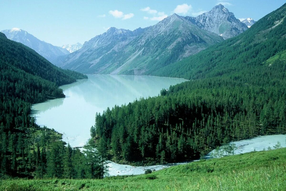 Алтайский край регион самый. Кучерлинское озеро Алтай. "Altai". Алтайский край. Сибирь Алтайские горы. Алтайский край гора Алтай.