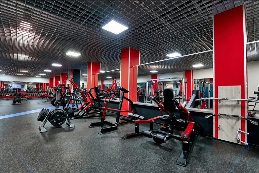 фитнес водников 2. фитнес водников 2. фитнес водников 2. фитнес водников 2. свобода фитнеса.