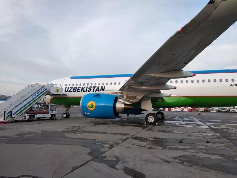 Хаво йуллари домодедово. Перевозчик узбекистан. Боинг 737 uzbekistan airways. Самолет узбекистан хаво йуллари. Узбекистан эйрвейз в домодедово.