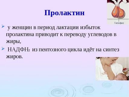 Лактационный период это