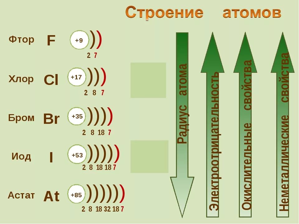 Селен слои. Электронное строение астата. Электронная схема галогена. Строение галогенов. Строение атома фтора.