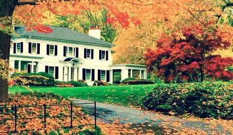 Fallen home