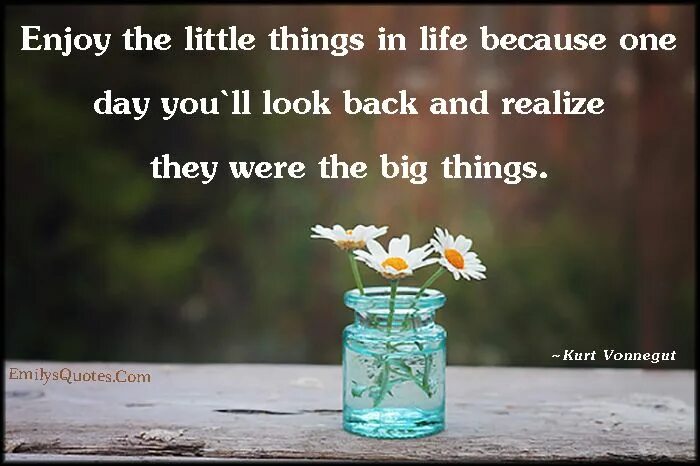 Enjoy the little things in Life for one Day you will look back and realize they were the big things. Enjoy the little things because one Day. Things in Life. Enjoy the little things. Enjoy this day