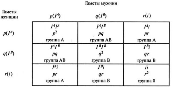 Формулы Харди Вайнберг частота гетерозигот. Гетерозигота формула. Формула расчета доли гетерозигот. Определите частоты генов системы.