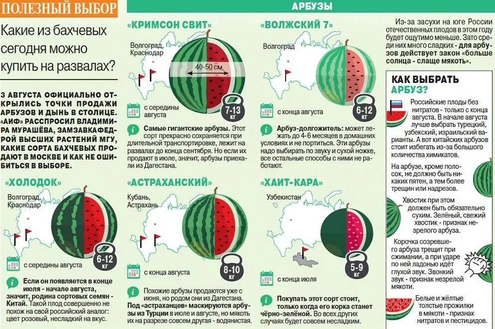 Выбрать Арбуз. Как правильно выбрать Арбуз спелый. Как выбрать Арбуз спелый и сладкий. Как выбрать сладкий Арбуз.