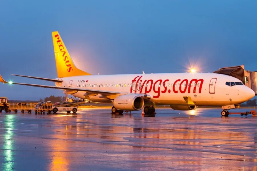 Pegasus авиакомпания сайт. Pegasus Airlines авиакомпании Турции. Пегасус Эйрлайнс самолеты. Пегасус Аирлинес авиакомпания. Пегасус авиакомпания Pegasus Airlines.