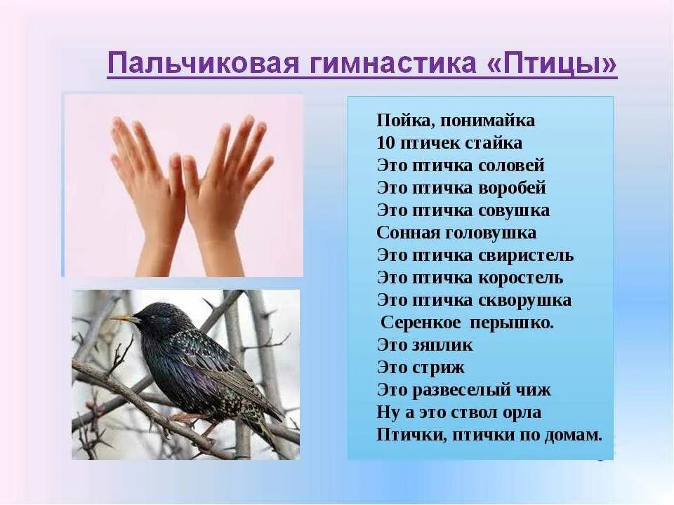 Стихи про перелетных птиц для детей