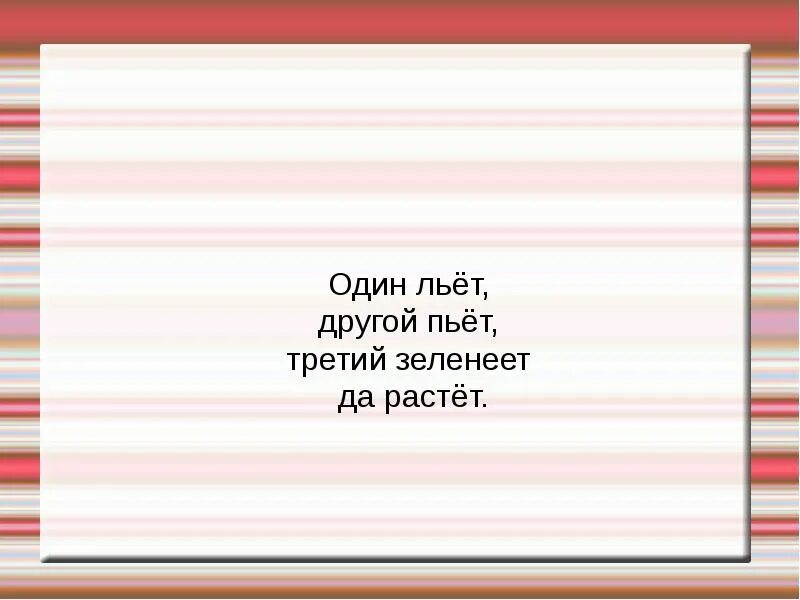 Один льёт другой пьёт третий зеленеет да растёт. Загадка один льет другой пьет третий растет. Один льёт другой пьёт третий. Один пьёт другой льёт третий растёт ответ на загадку. 1 льет 2 пьет