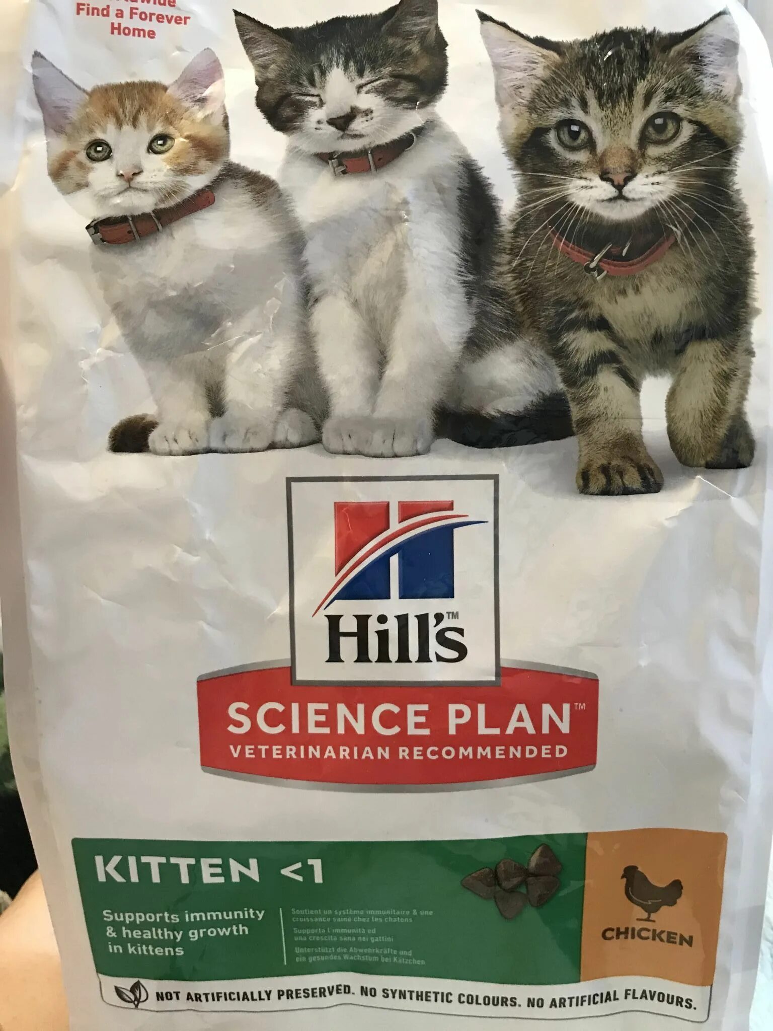 Корм Хиллс для котят. Корм Hills Science Plan для котят. Хиллс для котят сухой. Hills корм для котят >1. Hill s для кошек купить