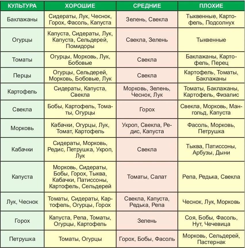 Овощи в огороде список. Севооборот сидератов таблица. Посадка овощей предшественники таблица. Таблица севооборота овощных культур и сидератов. Чередование культур в севообороте на даче таблица.
