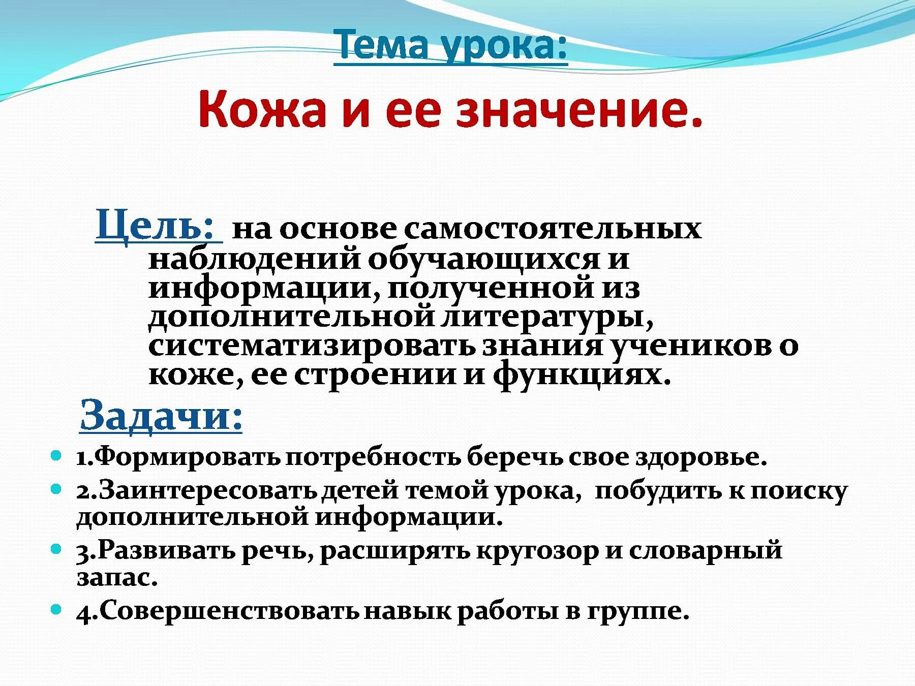 Что такое кожа человека определение. Интересные факты о коже. Значение кожи для организма 4 класс окружающий мир. Из кожи. Что такое кожа человека определение.