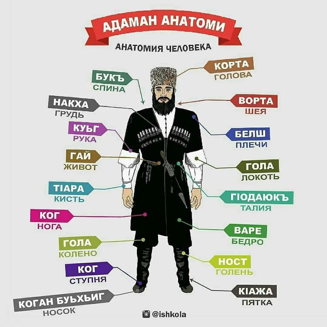 Мукъаза аьзнаш а элпаш а. Деза до1а. Цифры на чеченском языке. Нохчи маттахь. Рефлексия нохчийн маттахь.