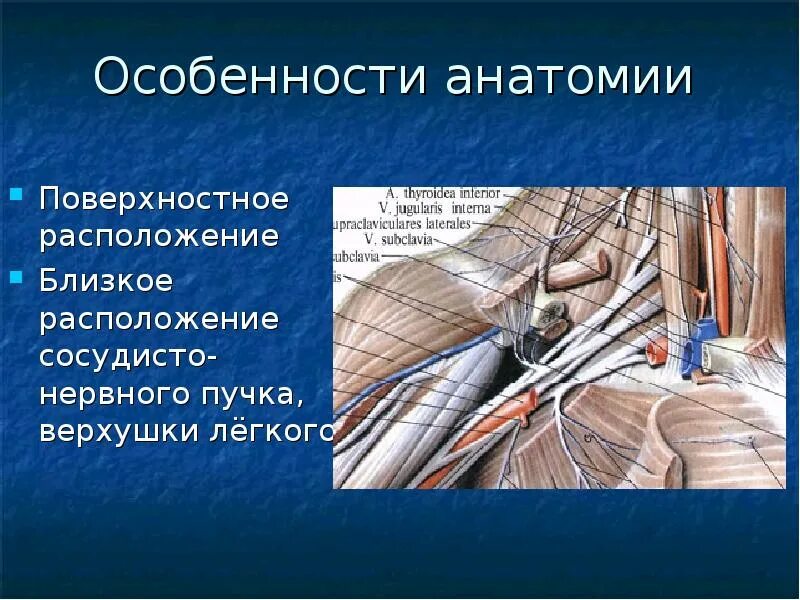 Повреждение сосудисто нервного пучка. Сосудисто нервный пучок. Сосудисто нервный пучок ключица. Повреждение сосудисто нервного пучка на предплечье. Нервно сосудистый центр