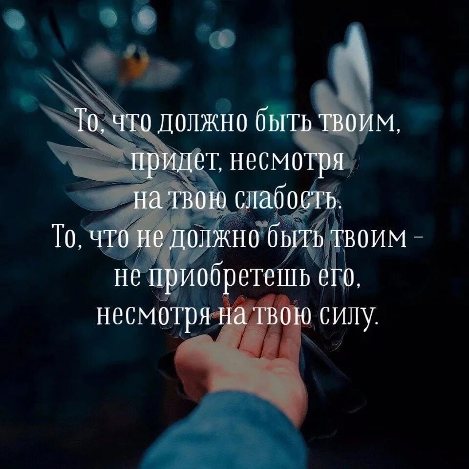 Твои придут. То что должно быть твоим придет несмотря на твою слабость. цитаты про слабость. афоризмы про слабость человека. высказывания о слабости.
