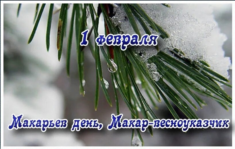 Праздник 1 февраля день. С последним днем зимы. С последним зимним днем января. С последними днями зимы.