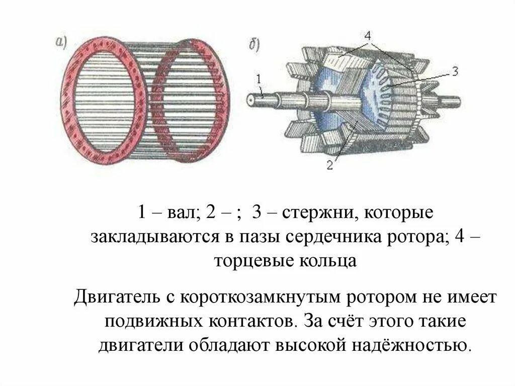 Обмотки синхронного двигателя. Короткозамкнутая обмотка ротора асинхронного двигателя. Обмотка ротора синхронного электродвигателя 10кв. Беличья клетка асинхронного двигателя с короткозамкнутым ротором. Материал стержней в пазах асинхронных двигателей.