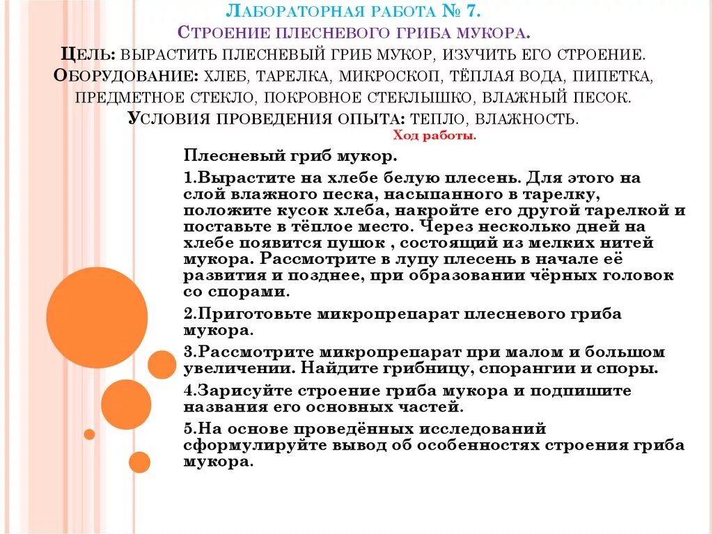 Лабораторная работа гигиеническая. Лабораторная работа по биологии 5 класс мукор ход работы. Плесневый гриб мукор лабораторная работа 7. Лабораторная работа по биологии изучение строения плесневых грибов. Лабораторная работа по биологии 5 класс изучения гриба мукора.