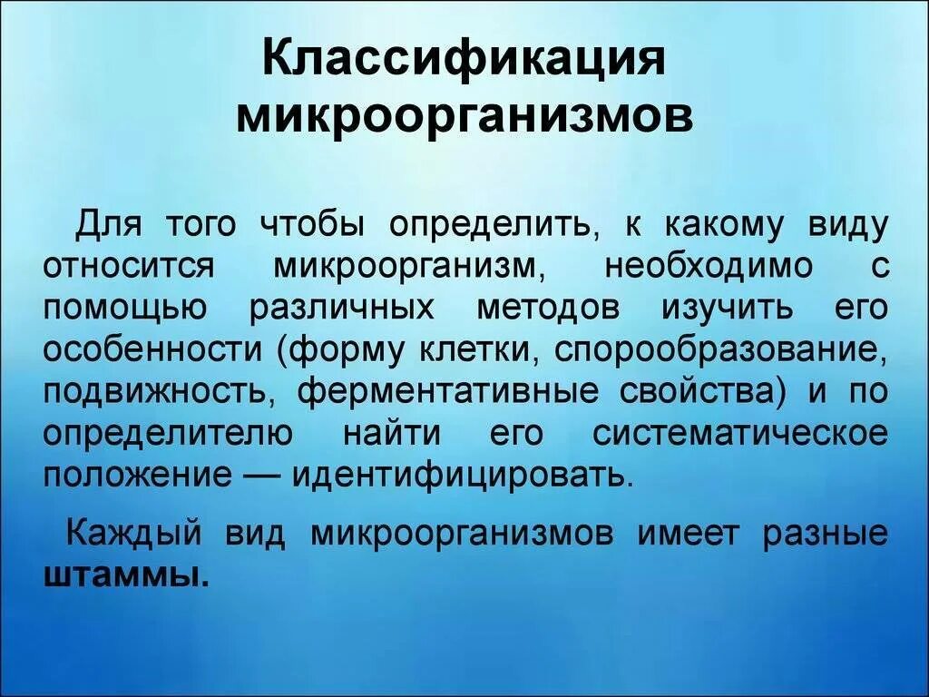 Классификация микроорганизмов. Классификация микроорганизмов микробиология. Основы классификации микроорганизмов. Классификация и систематика микроорганизмов.