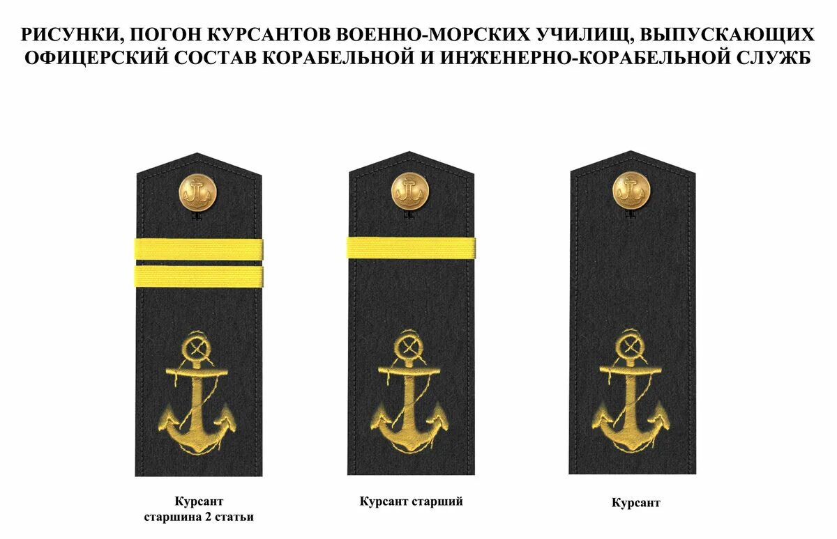 Корабельные погоны. Погоны морского флота РФ. Погоны ВМФ РФ матрос. Морские погоны курсанта. Погоны курсанта ВМФ.