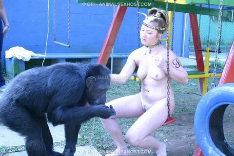 Sex With Chimp Porn.