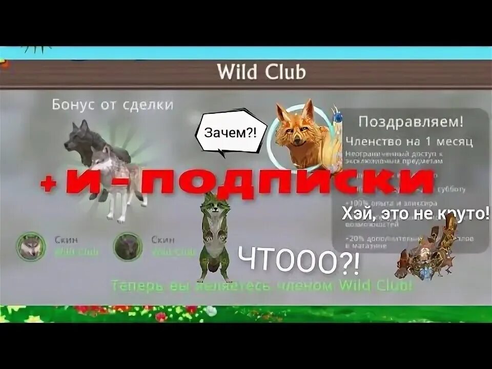 Вилд крафт арты гепард. Вайлд крафт клуб. Вилд крафт вилд клуб как подписаться. Вилд клуб. Wildcraft вилд клуб.