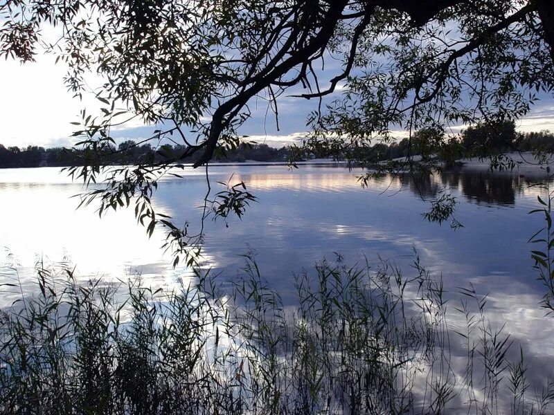 Городское озеро Гусь-Хрустальный. Городское водохранилище Гусь Хрустальный. Гусь Хрустальный река. Городское искусственное водохранилище Гусь Хрустальный.