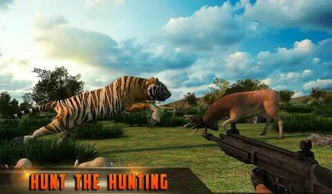 Shooting 3d