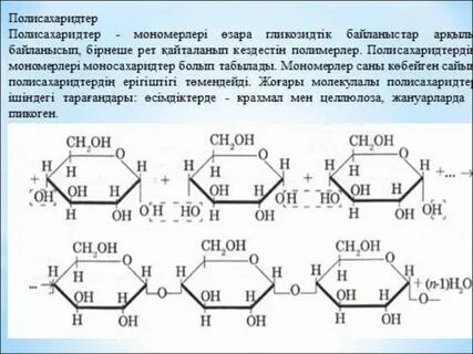 Полисахаридтер