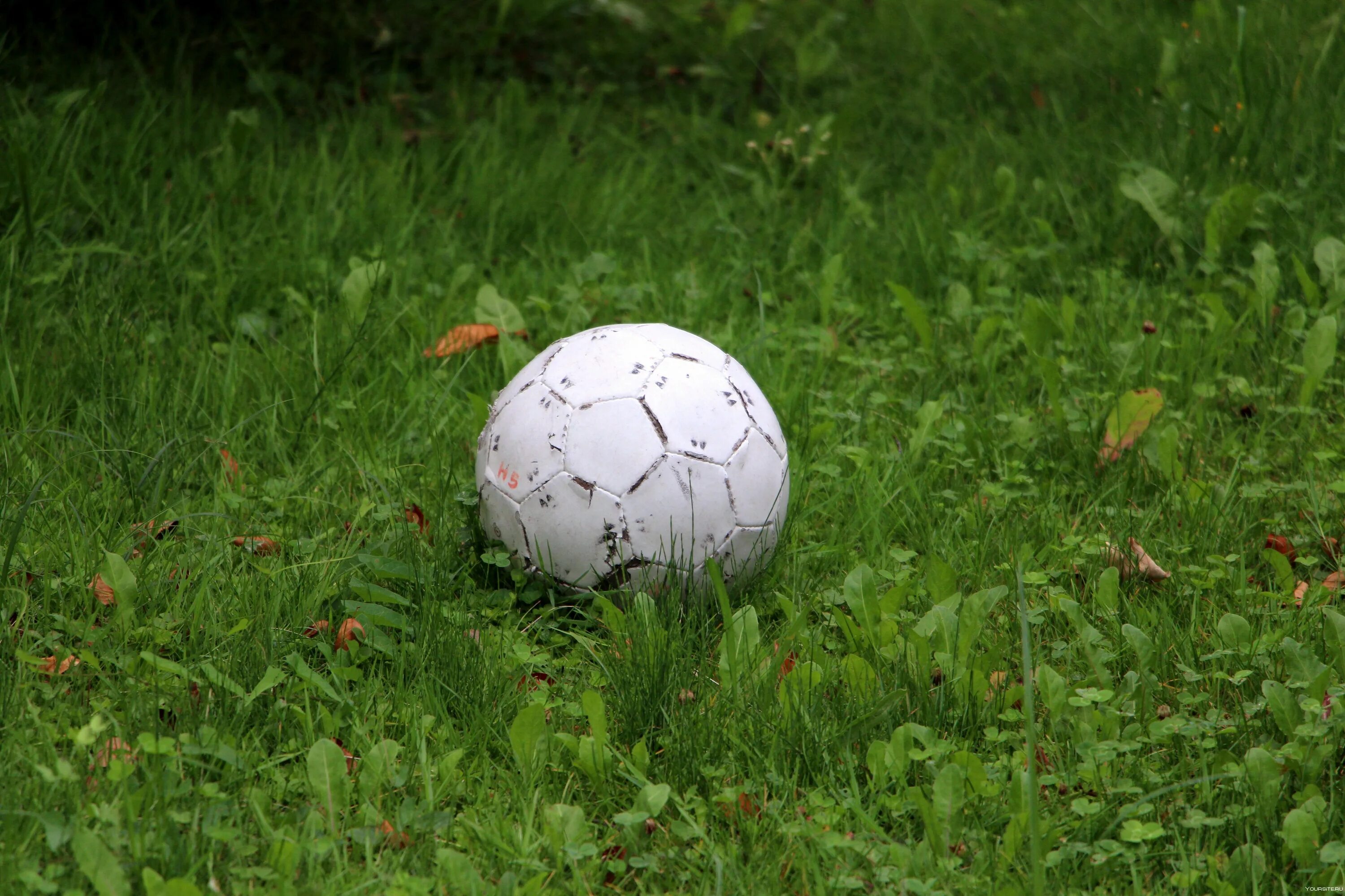 Игра мяч на траве. Футбольный мяч. Футбольный мяч на траве. Мяч на поле. Футбольный мяч на поле.
