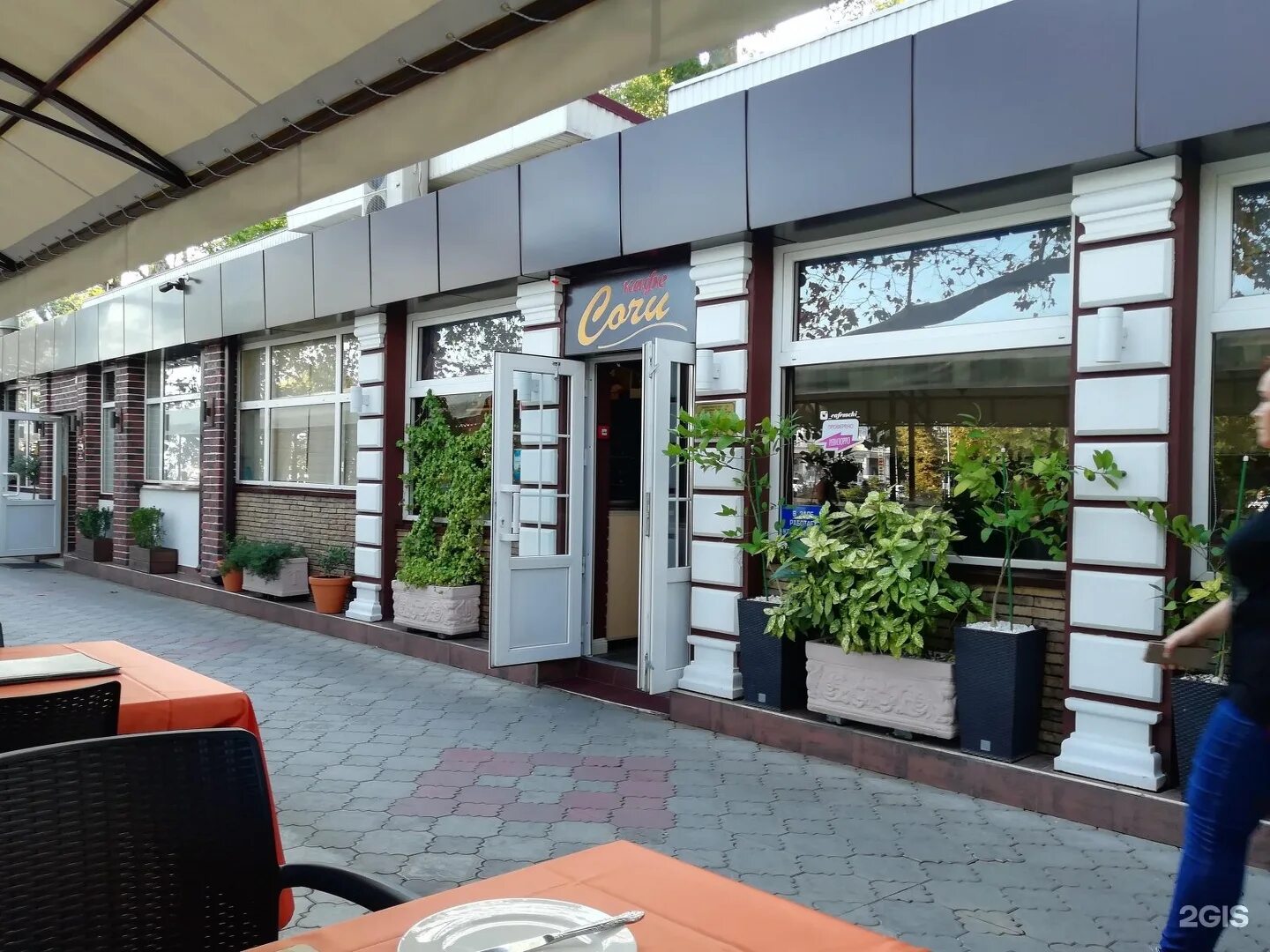 1229 сочи кафе. централ парк кафе сочи. сочинские кафе. кафе фламинго адлер. сочи ресторан барселонета интерьер.