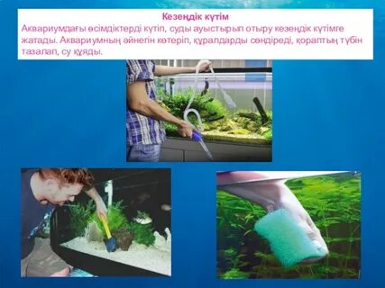 Ылғал көйлектегі қыздар бейне