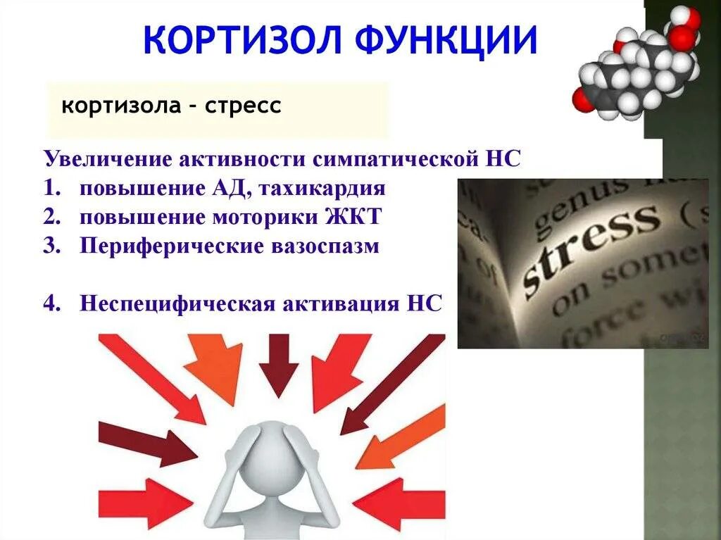 Гормон повышающий стресс. Кортизол и кортизон функции. Кортизол функции гормона. Кортизол гормон стресса. Кортизон функции гормона.