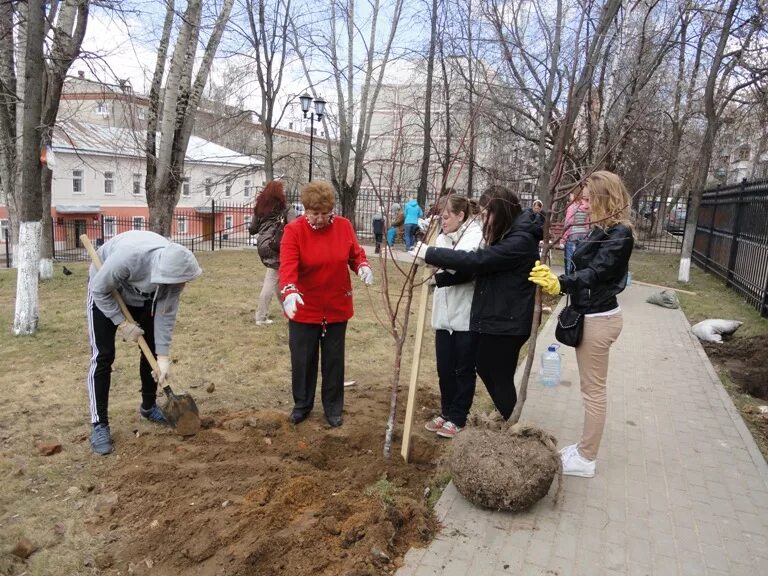 День земли фотографии. День земли празднование. Экологический фестиваль день земли. Экологическая акция день земли. День земли в школе.