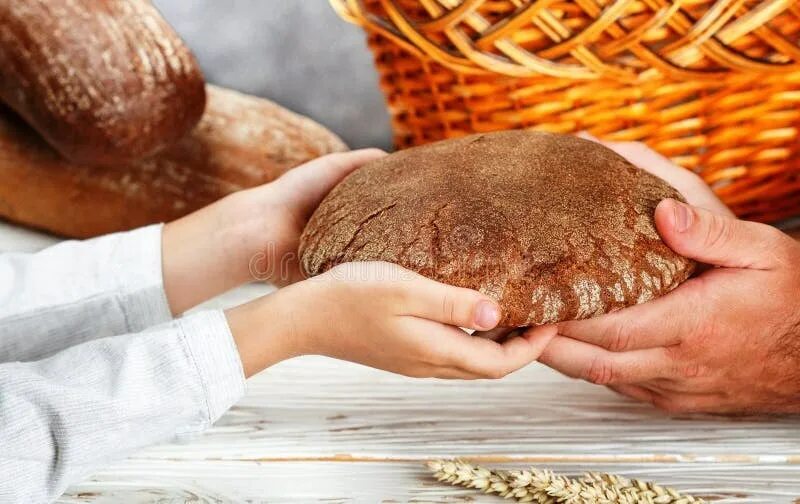 Хлеб земли человек. Хлеб в руках. Руки хлебобулочные изделия. Краюха хлеба. Ребенка с хлебом в руках.