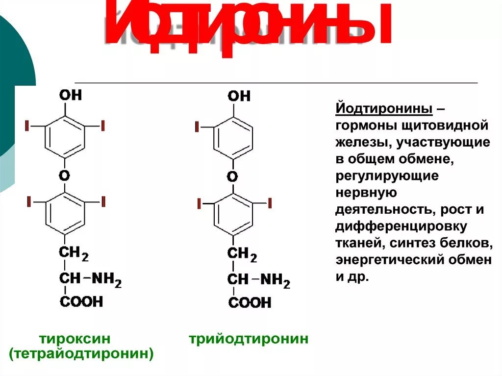 Использование йода для синтеза гормонов. Строение гормонов щитовидной железы биохимия. Т3 гормон щитовидной железы Синтез. Йодтиронины строение формула. Синтез гормонов щитовидной железы из тирозина.