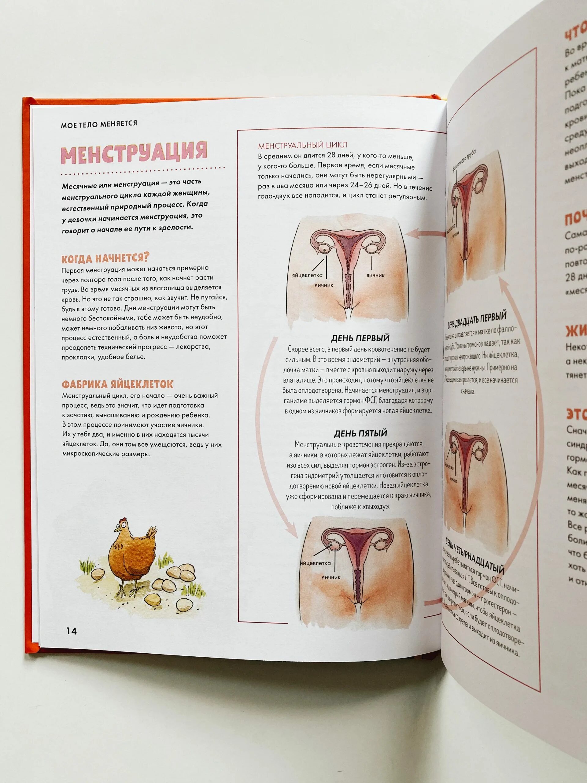 Как изменится книга. Книга джерри бэйли мое тело меняется. «моё тело меняется» джейрри бейли,. моё тело меняется книга. энциклопедия мое тело.