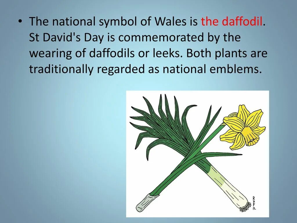 Symbol of wales